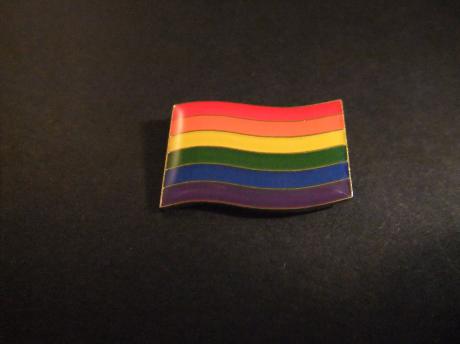 Regenboog vlag (Pride vlag -LGBT vlag - Gay vlag)